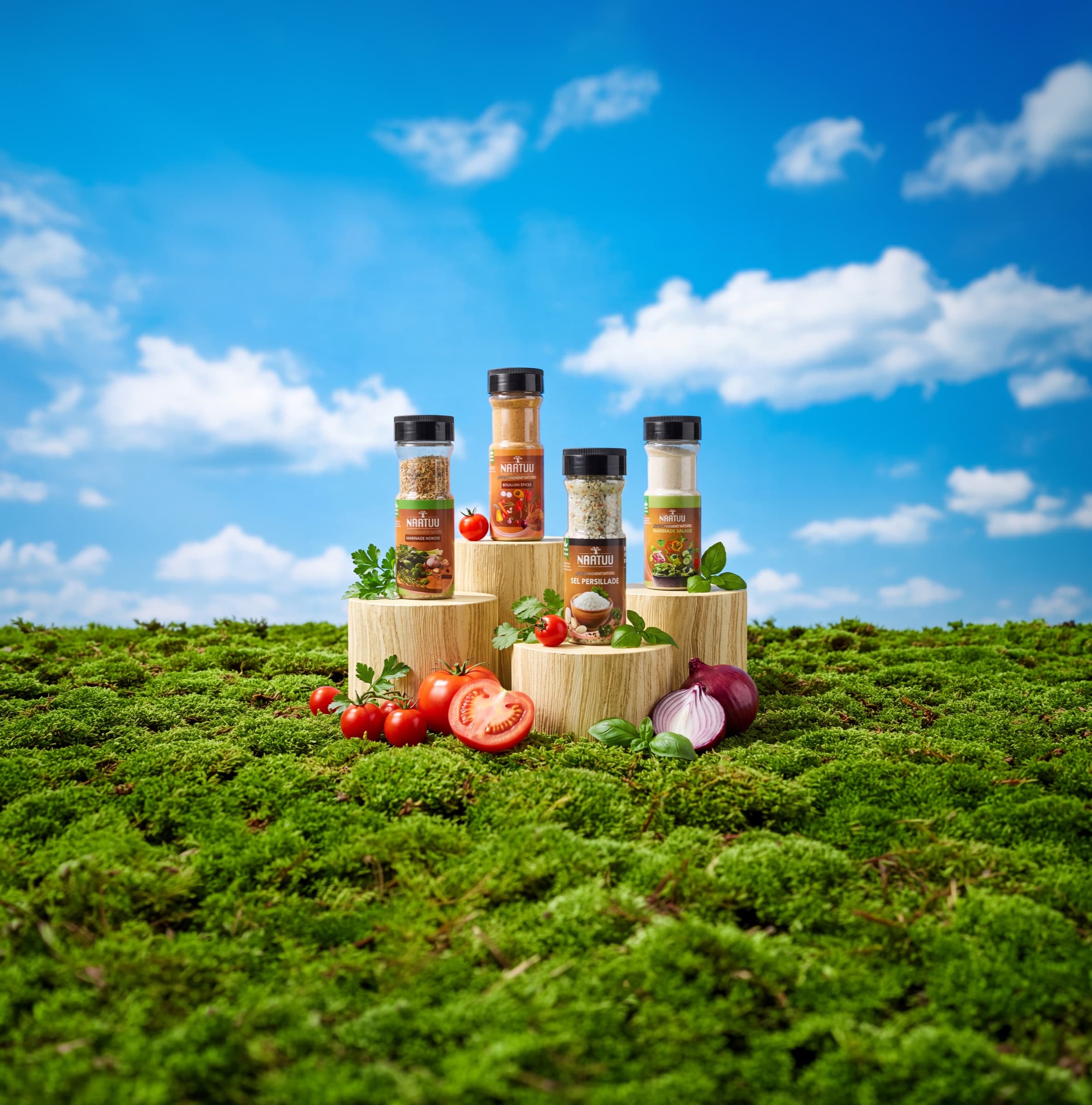 Les pots NAATUU Marinade Nokoss, Bouillon Épices, Sel Persillade et Marinade Salade sur des rondins de bois, entre tomates, oignons rouges et herbes fraîches, sur un tapis de mousse sous un ciel bleu